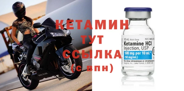 стаф Корсаков
