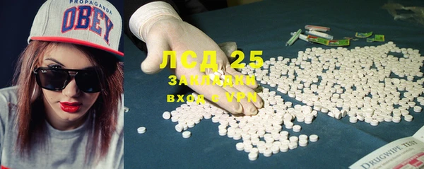 стаф Корсаков
