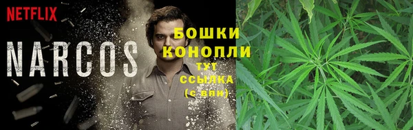 дмт Костерёво